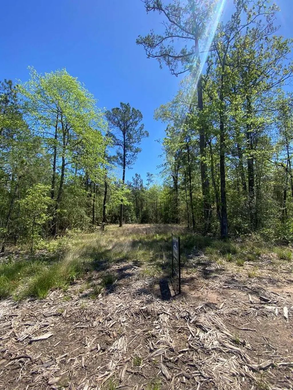 39-a Fm 1751, Broaddus