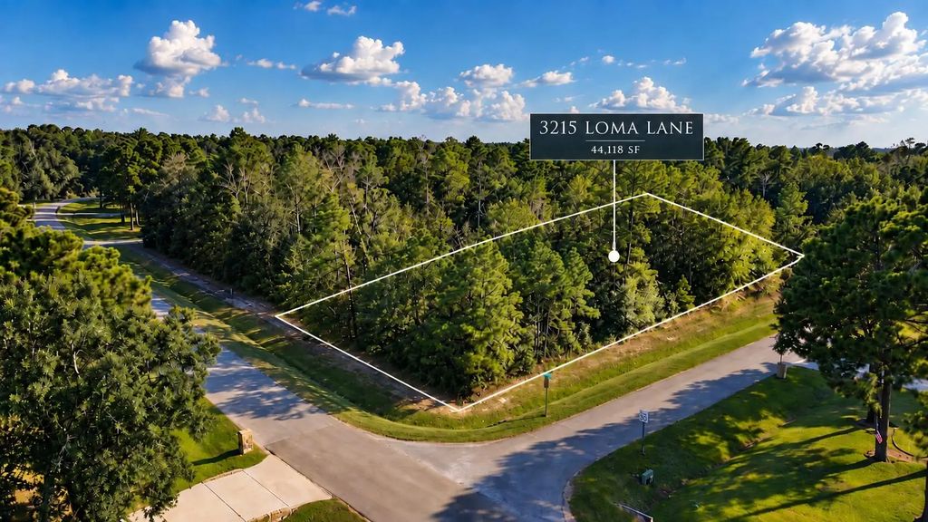 3215 Loma Lane, Spring