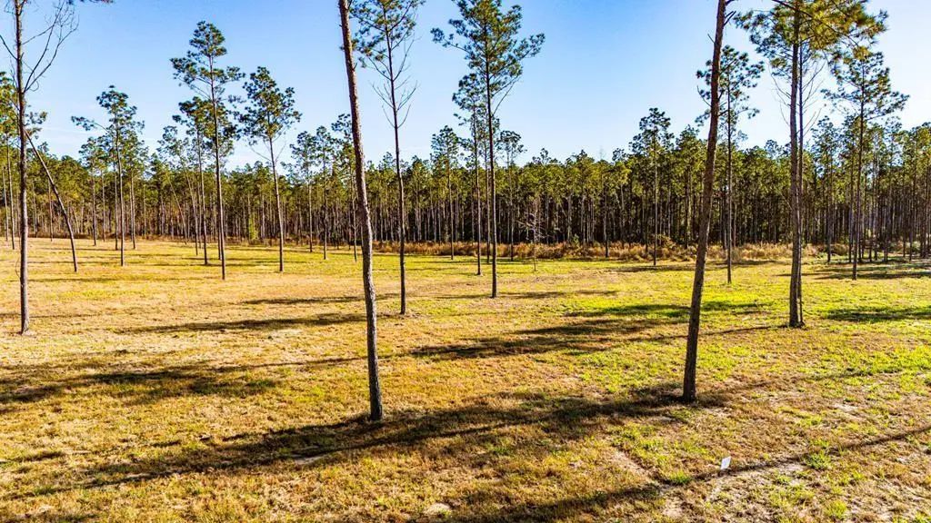 Lot 19 Big Buck Drive, Moscow