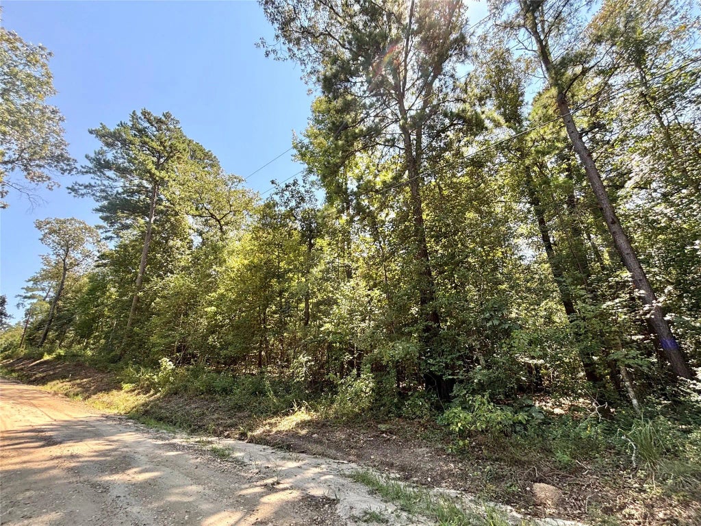 1273 County Road 3140, Colmesneil