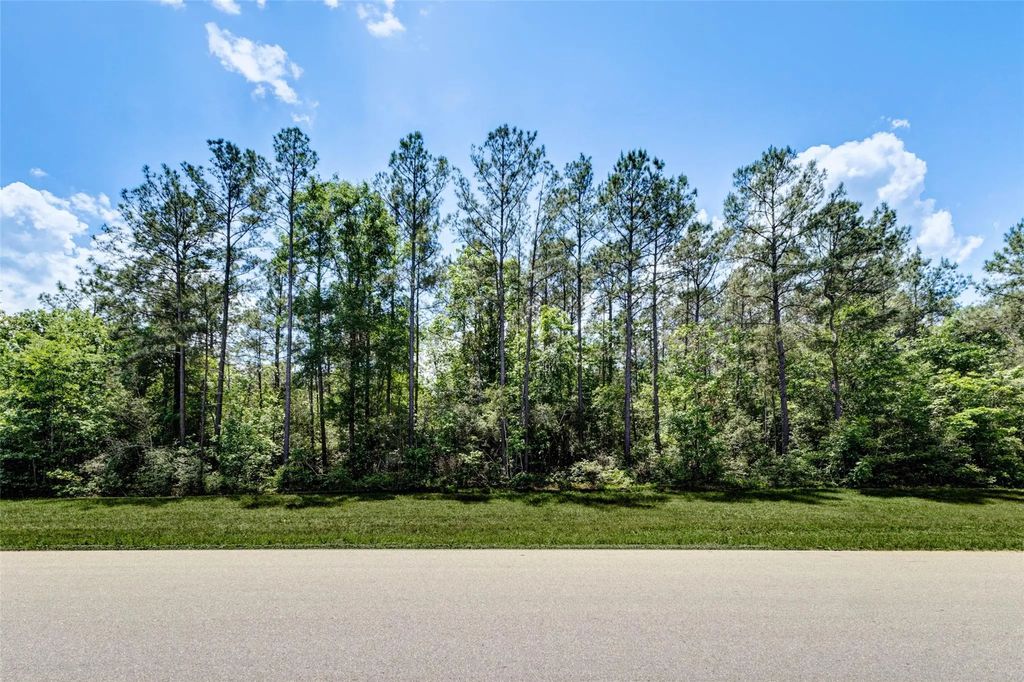 10774 Ruger Road, Willis