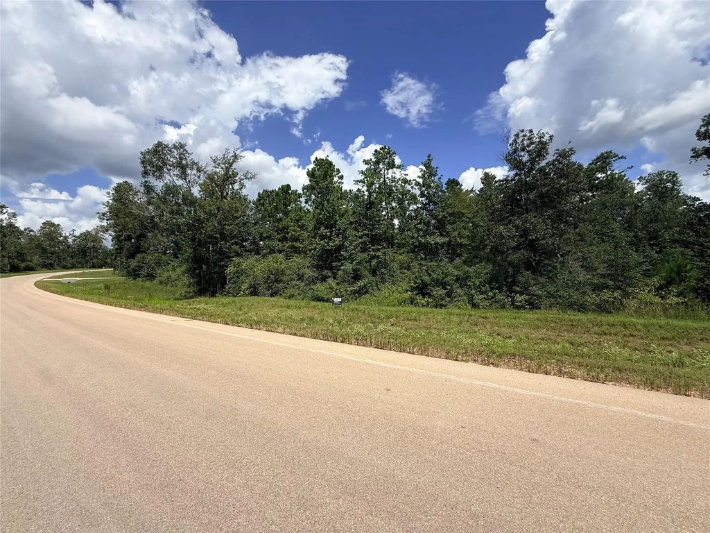 12075 High Branch Way, Willis