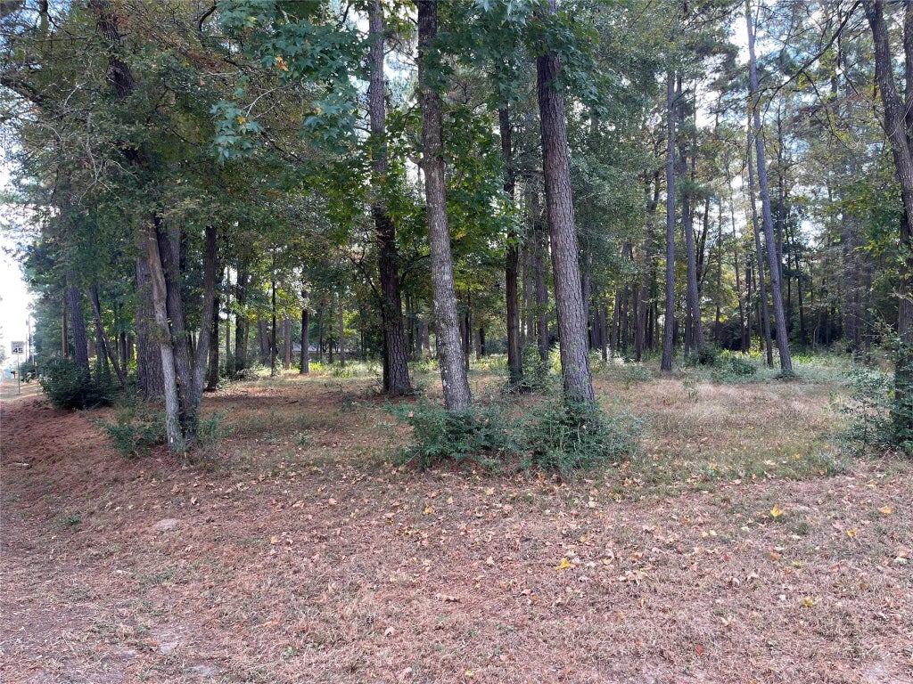 Little Egypt Road, Conroe