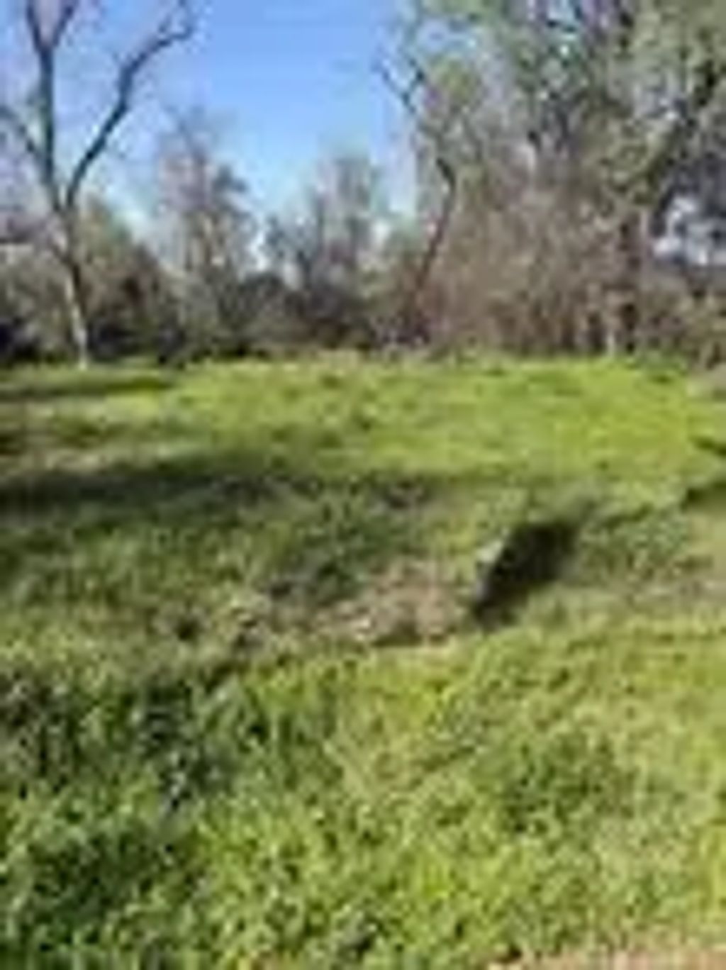 1043 Lincoln Street, Beaumont