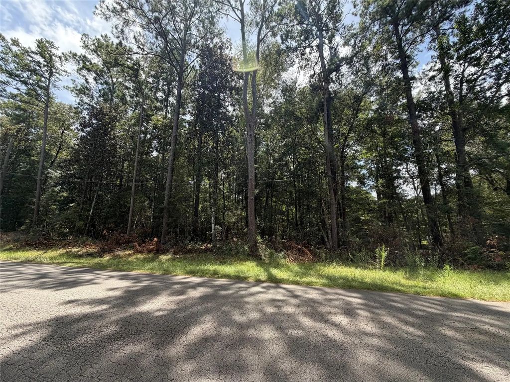 W Black Gum Drive, Village Mills