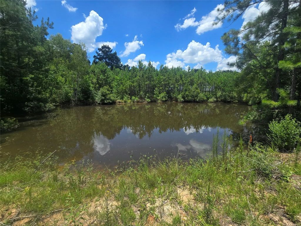26131 Crown Ranch Boulevard, Montgomery