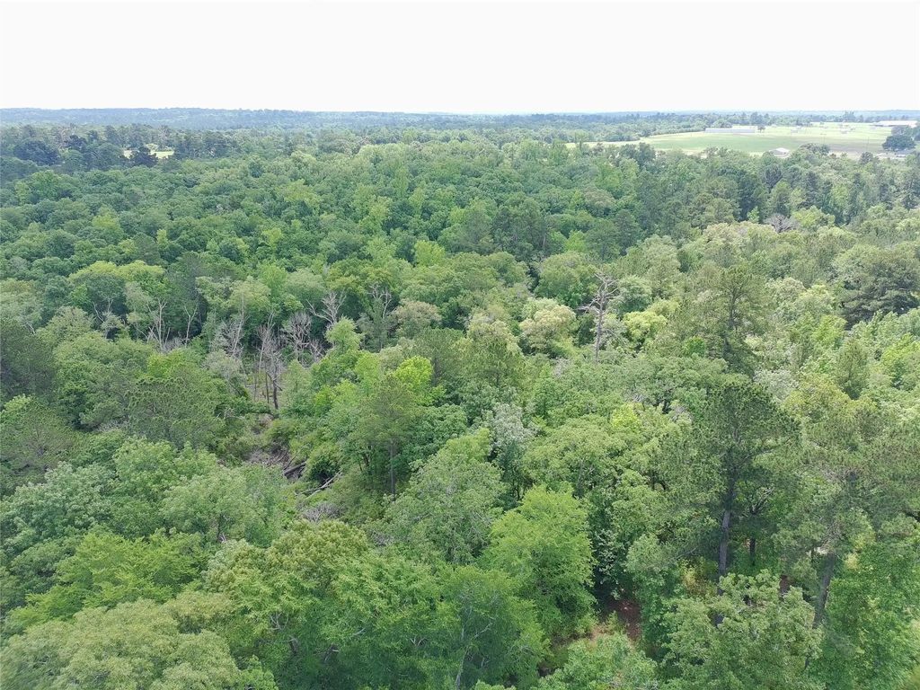 Tract 133 Pr 1313, Centerville