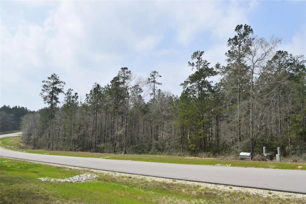 309 Exploration Road, Willis