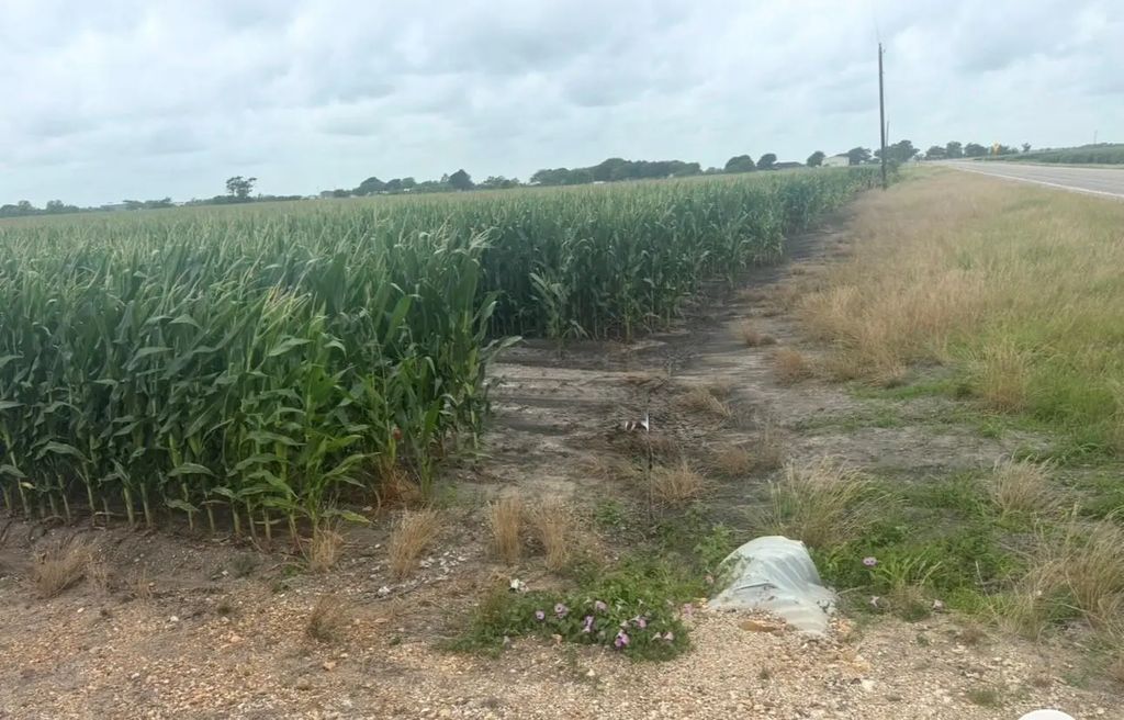 Fm 1162, Wharton