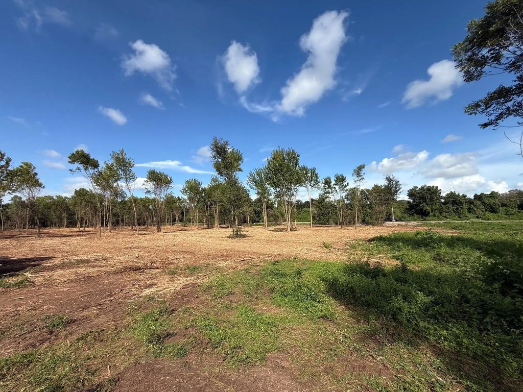 3114 County Road 30, Angleton