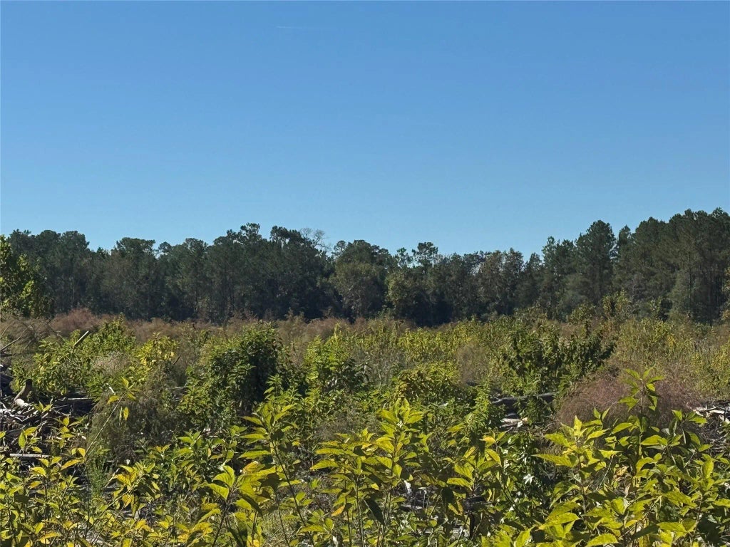 Tbd County Road 4800, Warren