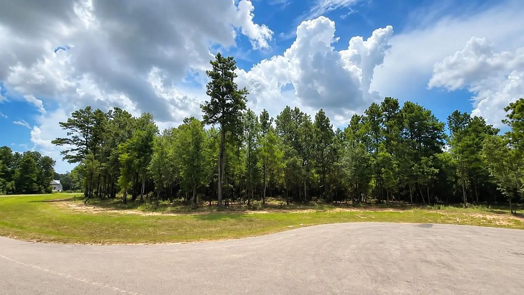 7625 Trinity Pines Dr, Montgomery