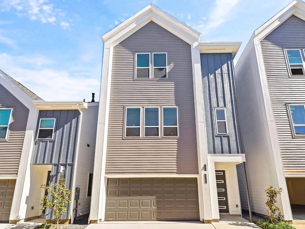 1013 Erin Street U, Houston