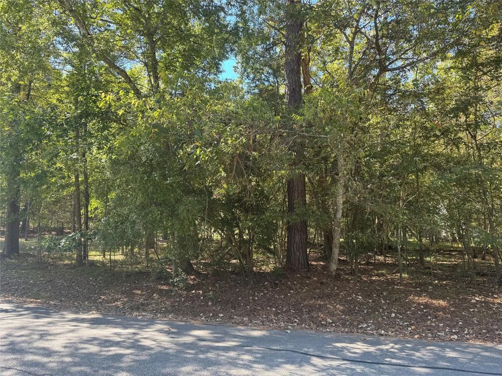 176 N Fairway Loop, Coldspring