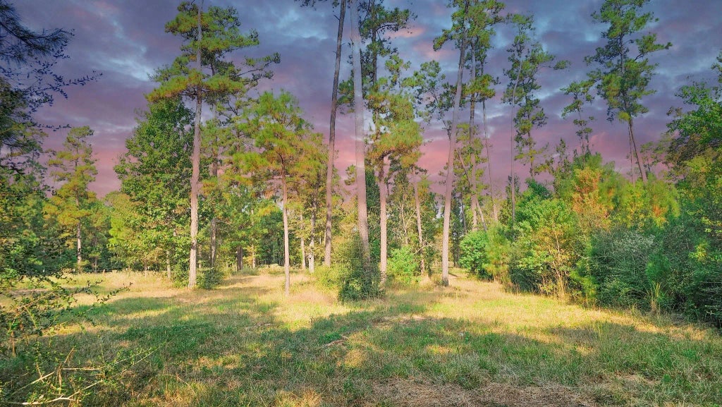 Tbd Gregory, New Waverly