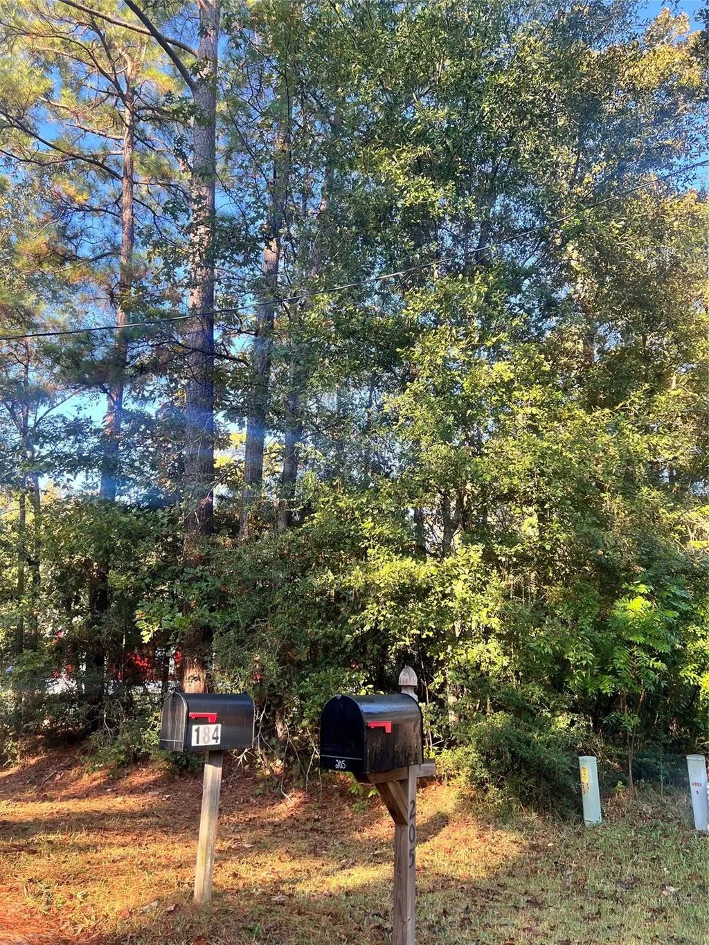 Rosemary Lane, Livingston