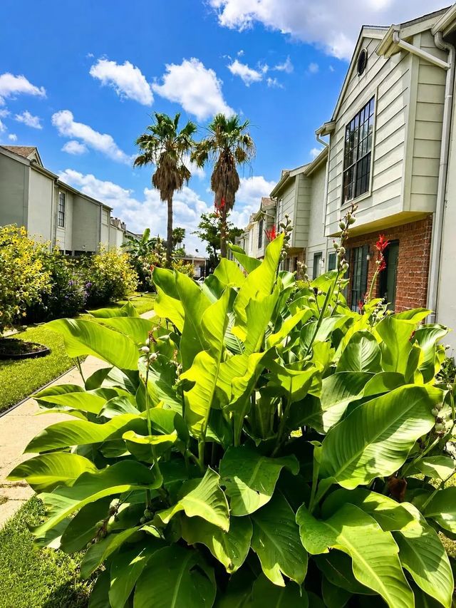 8714 Victorian Village Drive 8, Houston