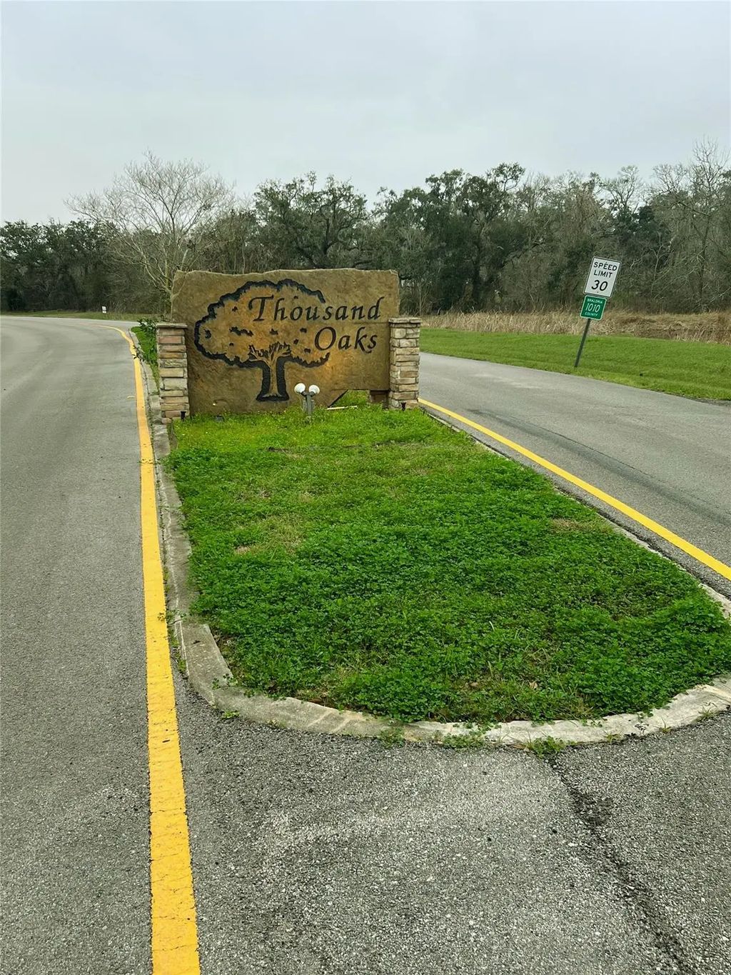 103 Vintage Oaks Court, Angleton
