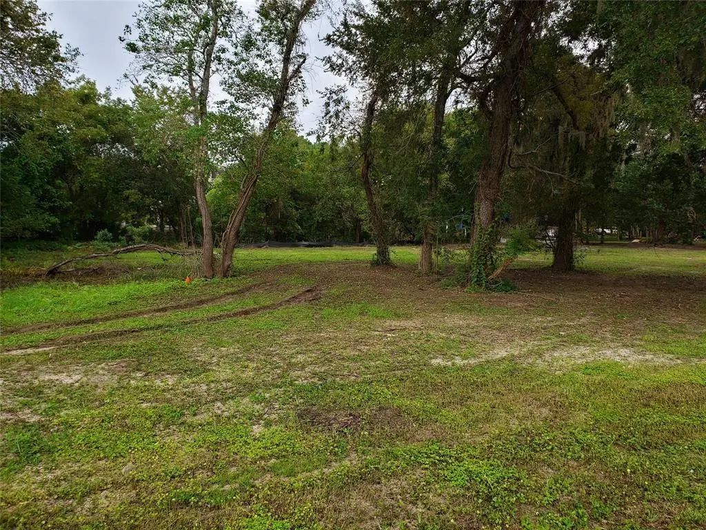 Bryant Lot 74 Lane, Webster