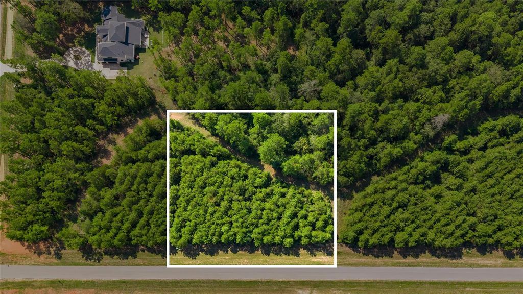 12920 Spacewood Pass, Willis