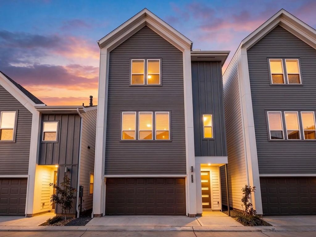 1013 Erin Street S, Houston