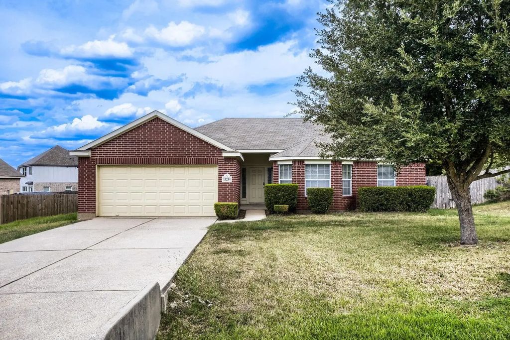 13254 Lazy Lane, Willis