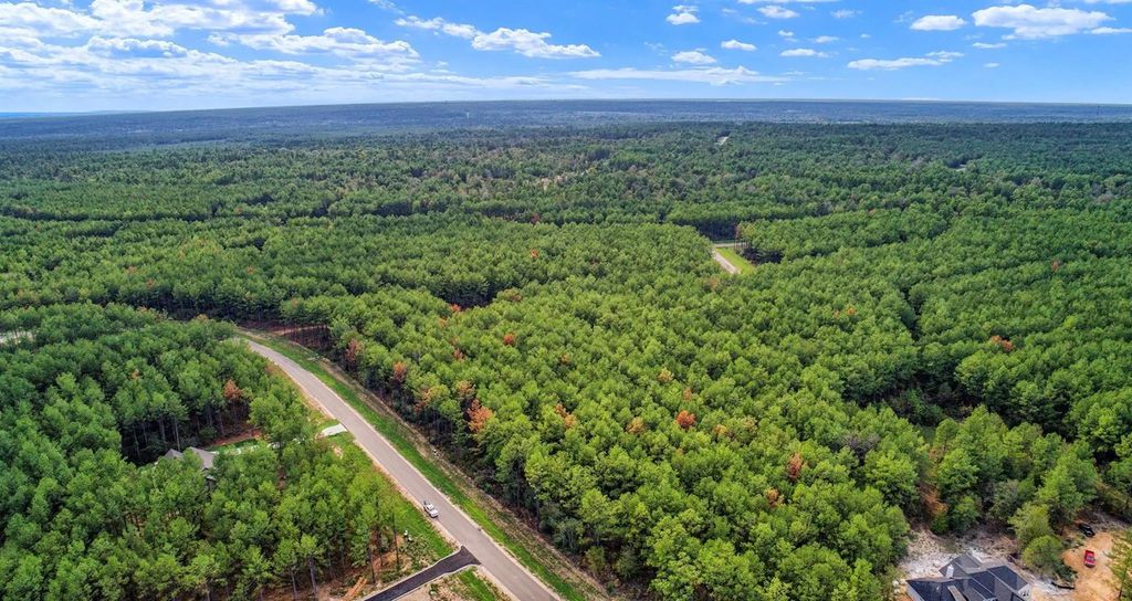 10721 Ruger Road, Willis