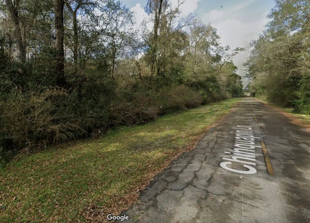 Chinquapin Lane, New Caney