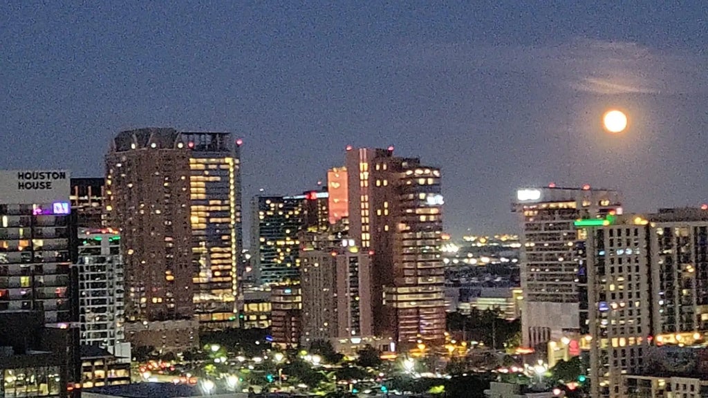 2016 Main Street 2305, Houston