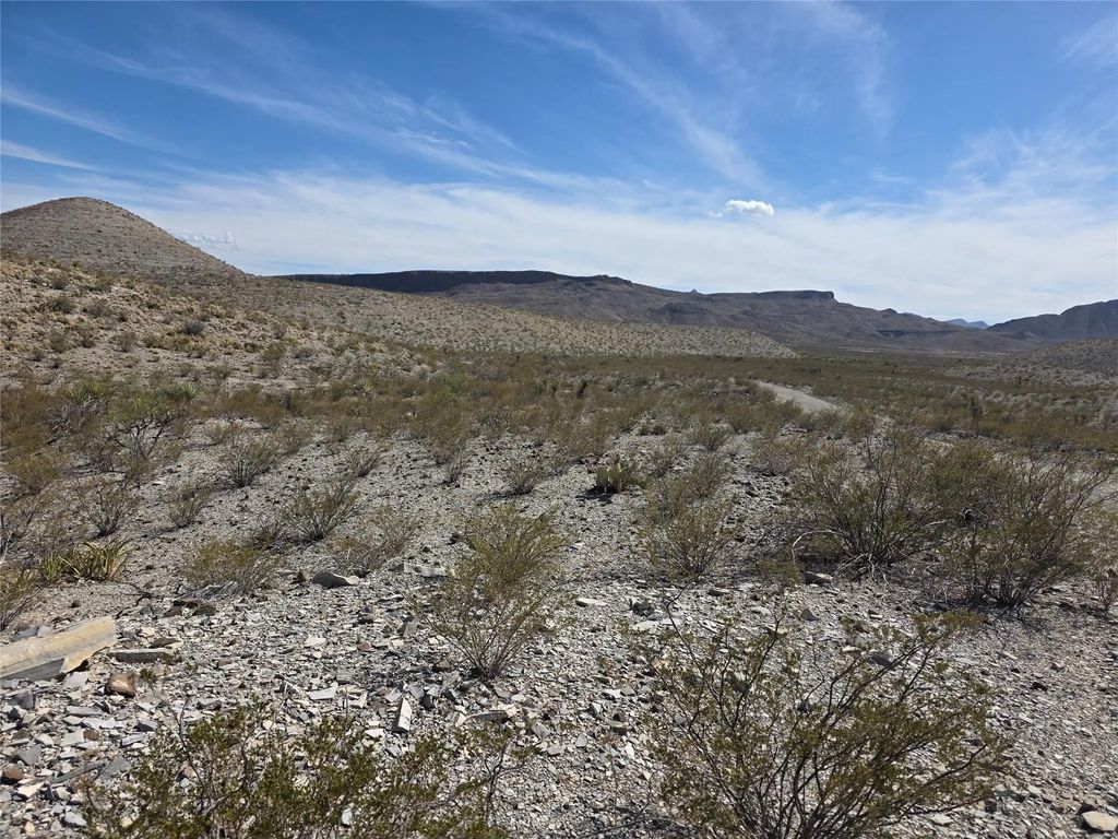 00001 Bob Cat, Study Butte-Terlingua