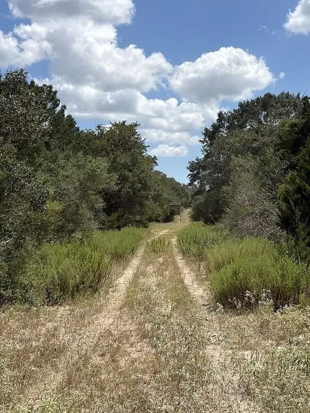 Tbd County Road 119 / Private Road 1024, Hallettsville