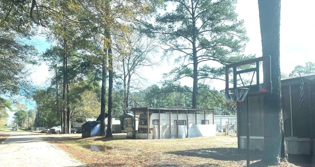 31 County Road 386 Off Fm 1725, Cleveland