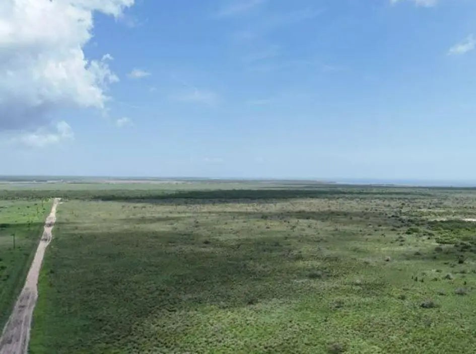 Holly Beach Road, Port Isabel