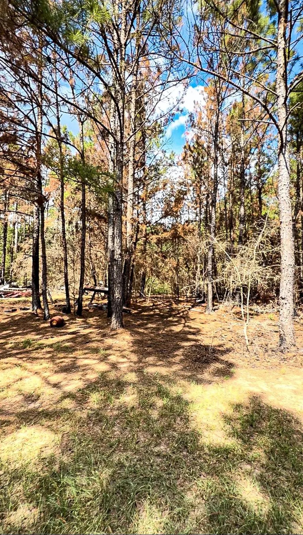601 Oak Ridge Road, Willis