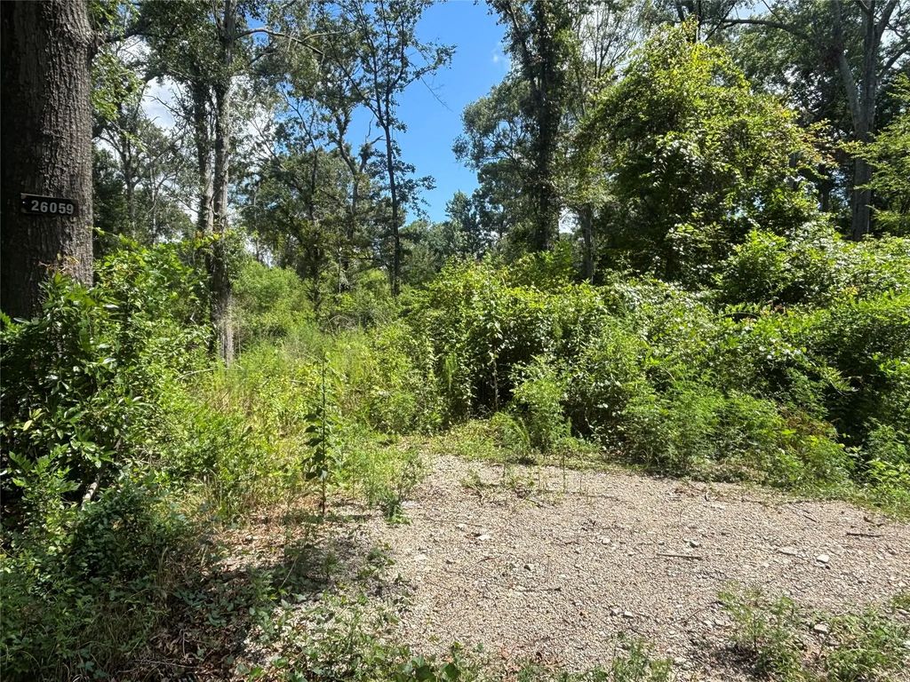26059 E Christine Drive, Splendora