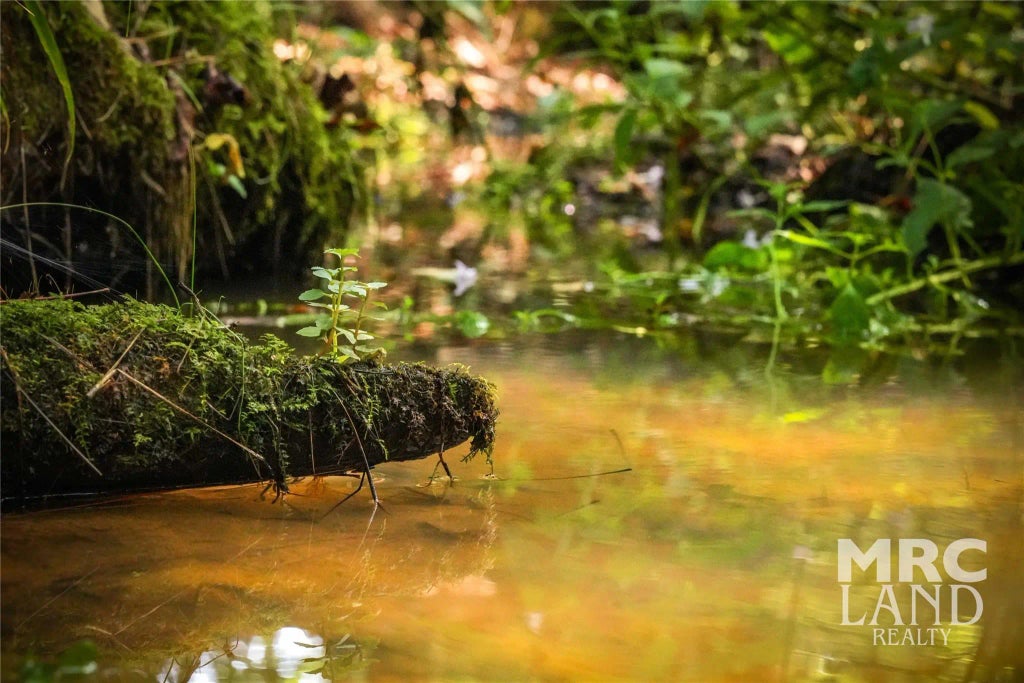 County Road 3173, Center