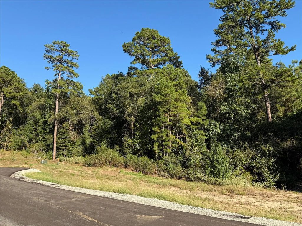 236 Hollow Hill Drive, Huntsville