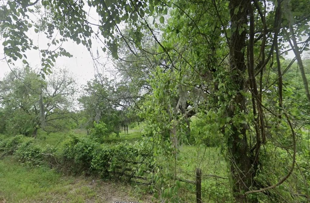 2941 - 13 County Road 352 Road, Brazoria