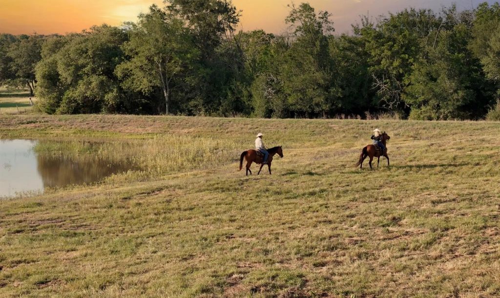 4 Round Top Farms Drive, Round Top