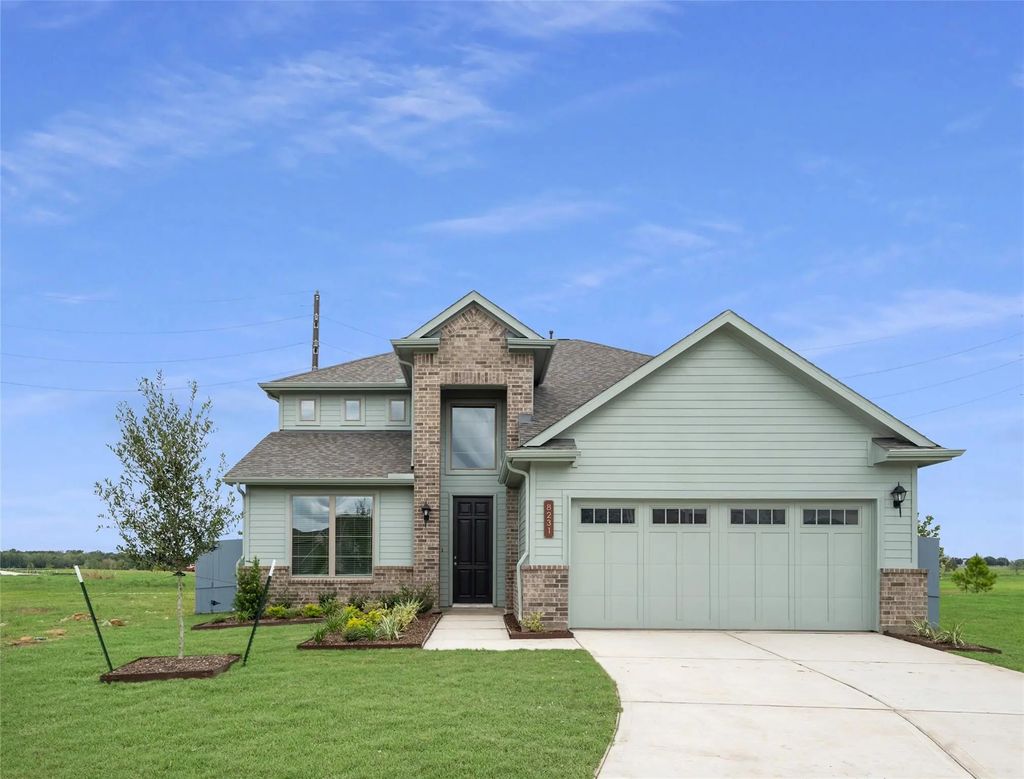 8231 Red Shinner Way, Fulshear