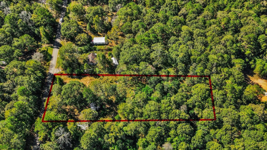 1100 Cherry Creek Drive, Shepherd