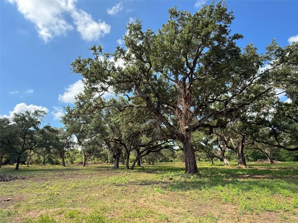 Lot 2 S F Austin, Freeport