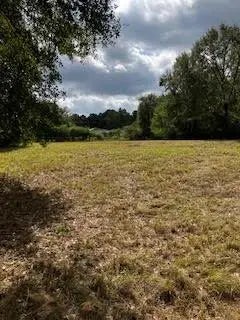 23402 Martha Williams Road, Montgomery