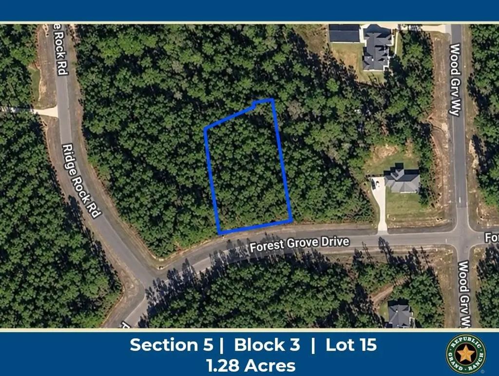 15729 Forest Grove Drive, Willis