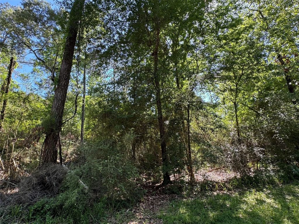 28 Laurel Oak, Trinity