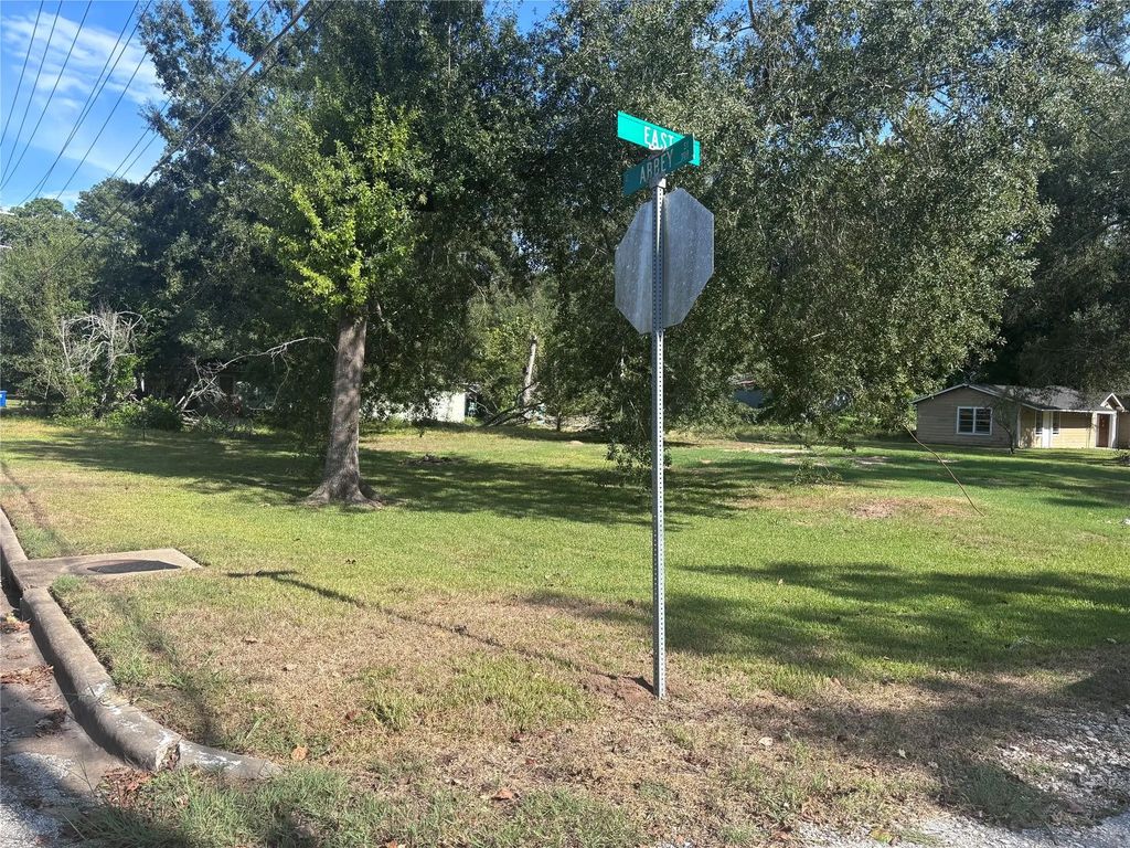 404 E Abbey Street, Livingston