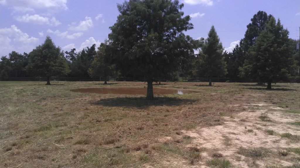 32519 Gadwall Street, Brookshire