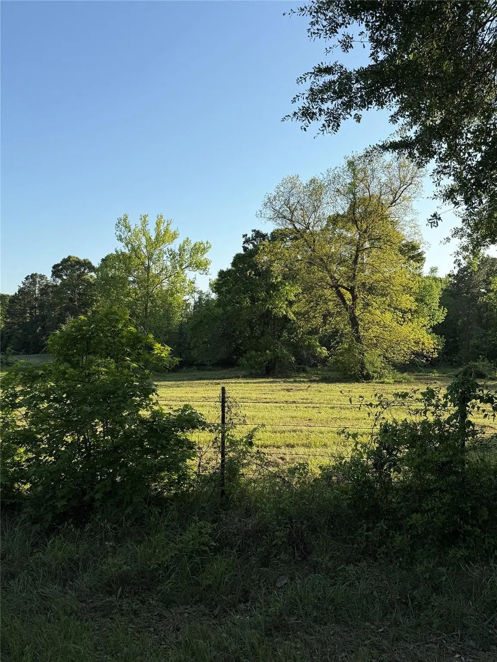 Faulkner Street, Coldspring