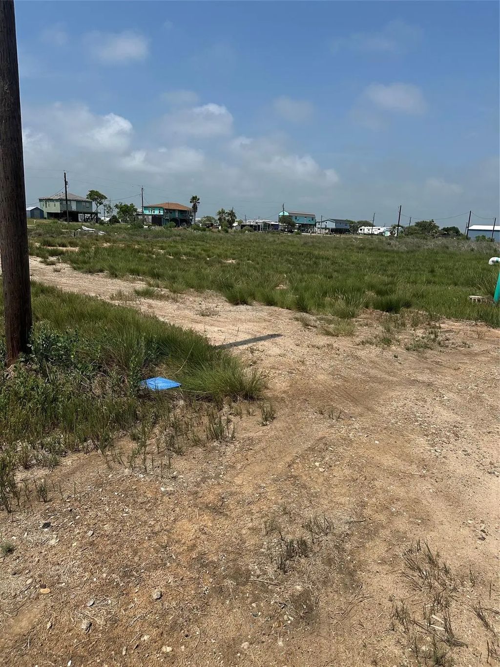 Tarpon, Bay City