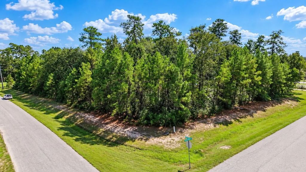 27414 Sgt Taylor Memorial, Spring